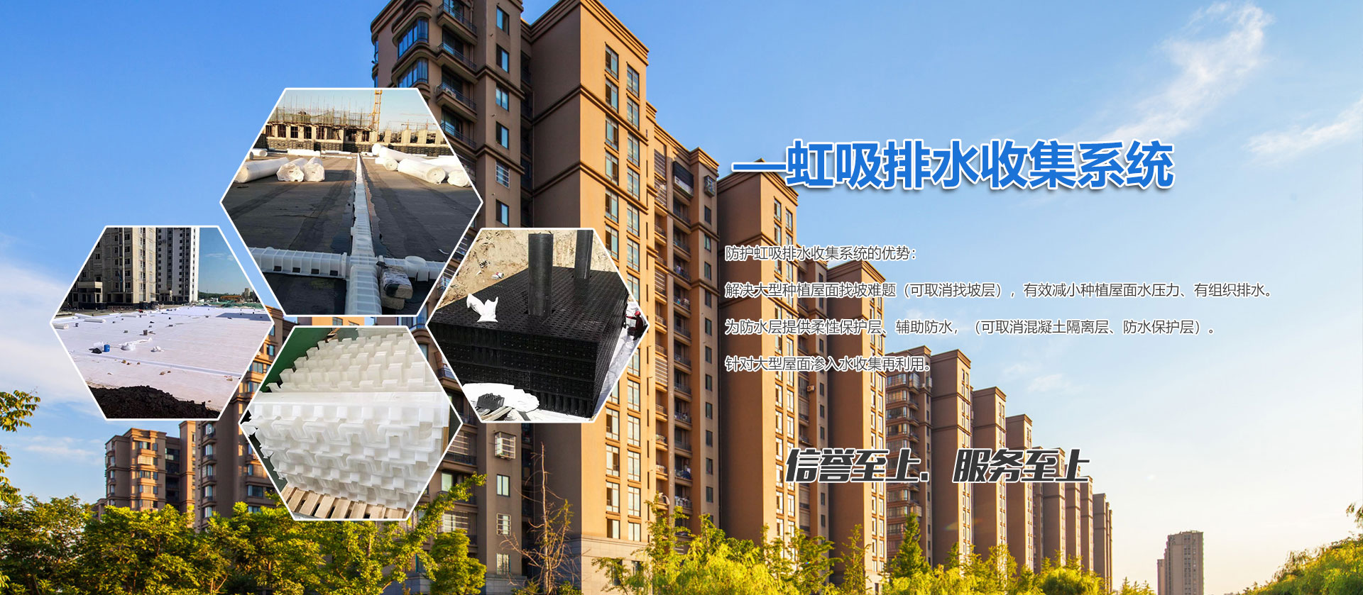 山東陳晨生物科技有限公司